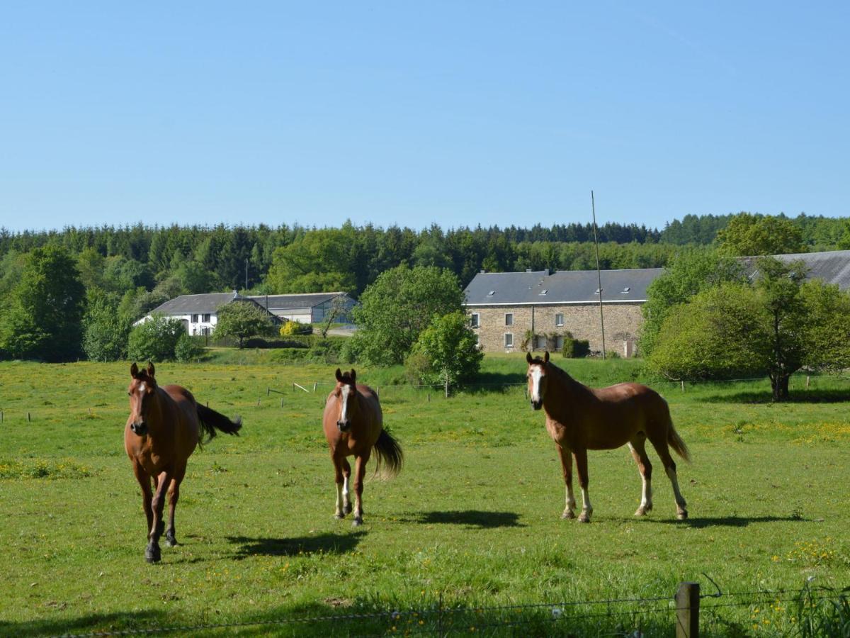 Leuk Huis Met Zwembad Cetturu Cameră foto